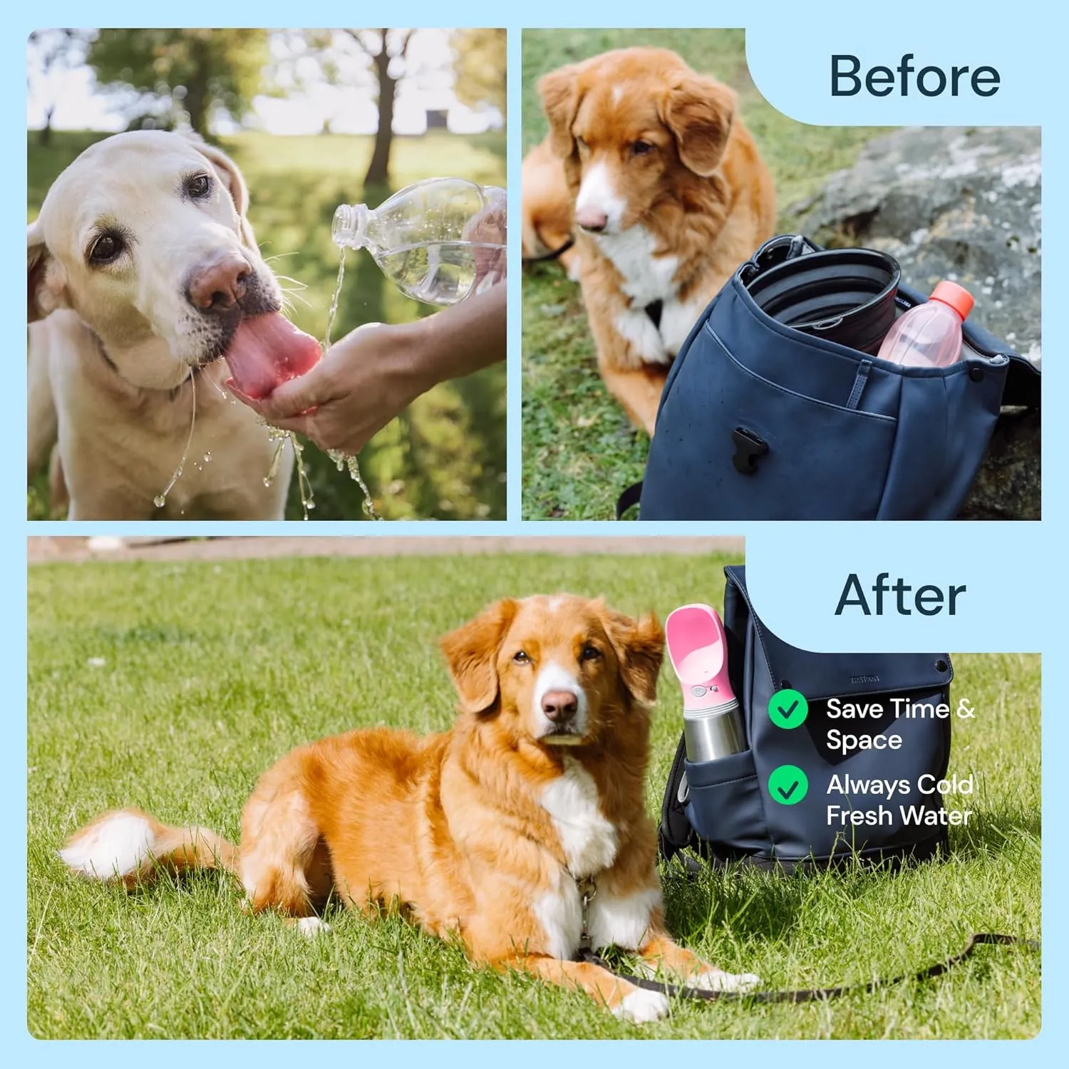 MalsiPree Leak Proof Stainless Steel Portable Dog Water Bottle - 24 oz, Pink Stainless Steel Water Bottles - Travel Dog Bowl - Puppy Bowl