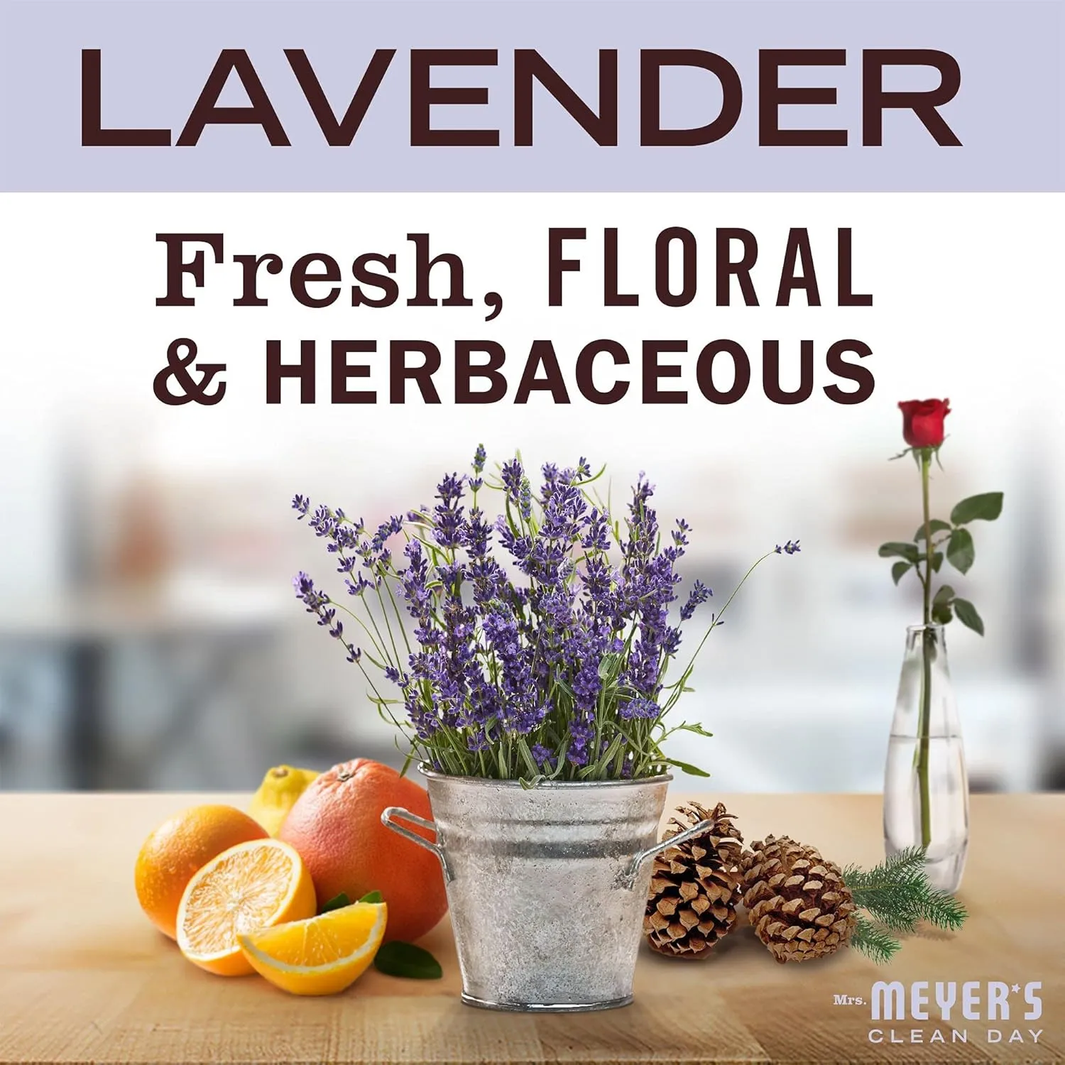 MRS. MEYER'S CLEAN DAY Multi-Surface Everyday Cleaner, Cruelty Free Formula, Lavender Scent, 16 oz- Pack of 3