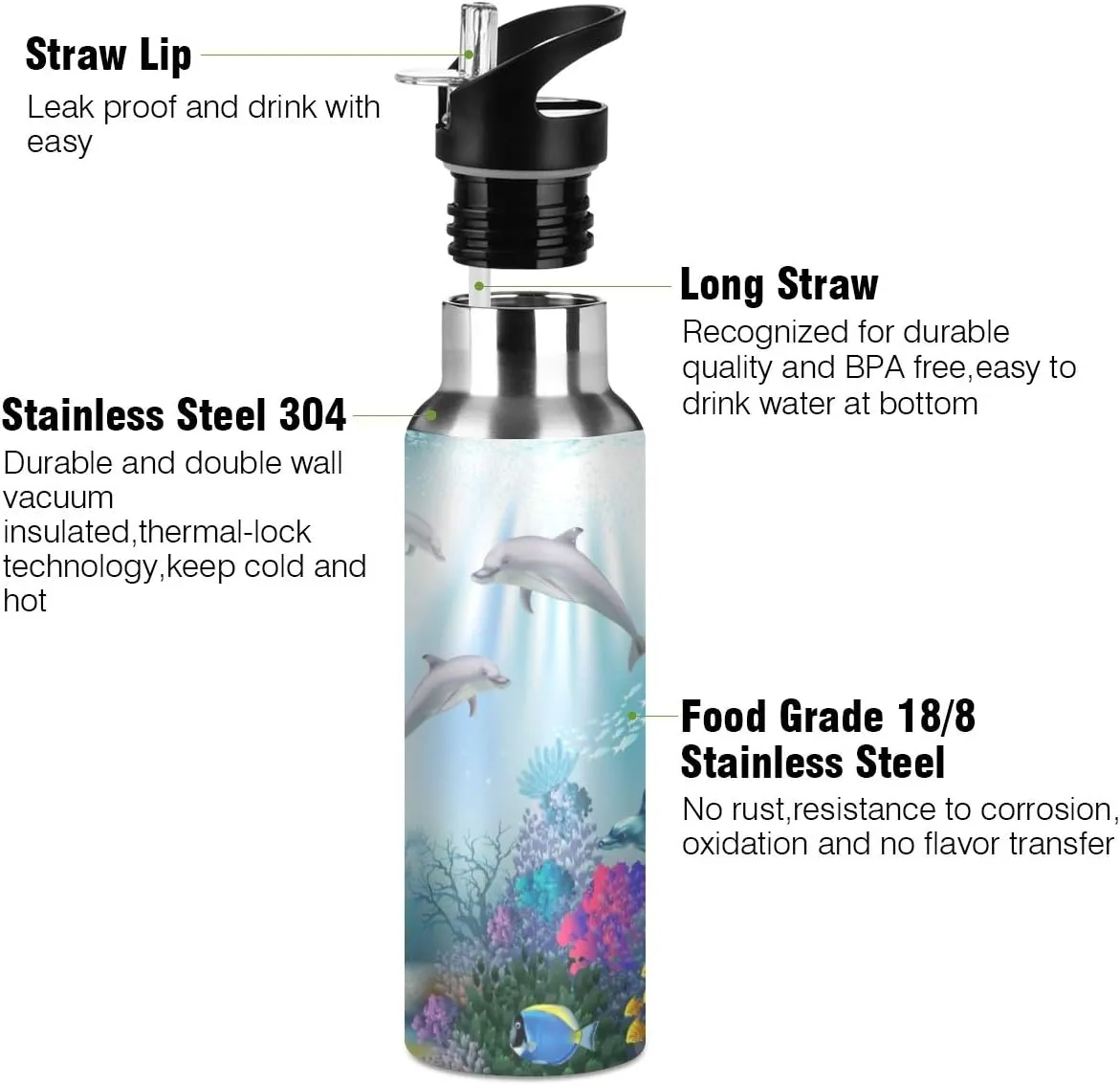 Underwater World Of Dolphins Sports Water Bottle, 22 Oz BPA Free Non-Toxic Stainless Steel Water Bottle with Straw for Gym Yoga Fitness Camping
